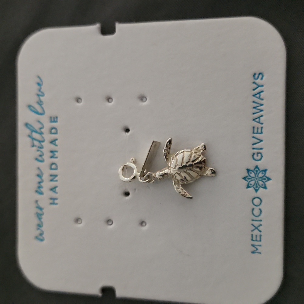 Turtle Pendant only